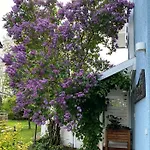 Apartment Blaues Haus *
