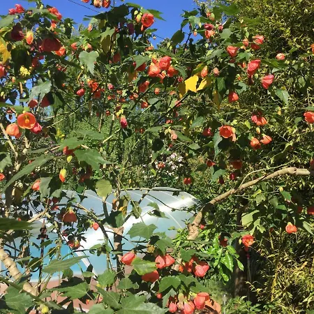 Blaues Haus Niederdorfelden