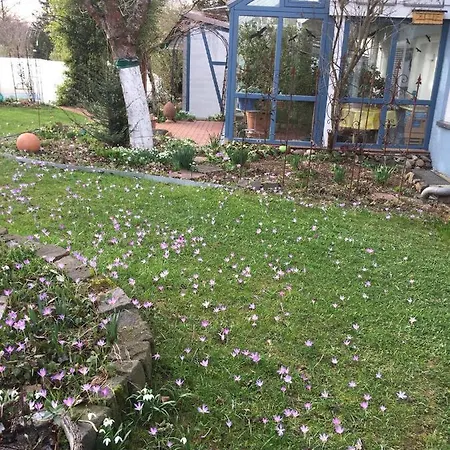 Blaues Haus Apartman