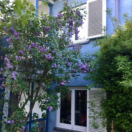 Apartman Blaues Haus *