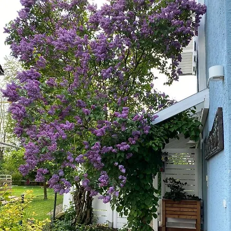 Apartment Blaues Haus *