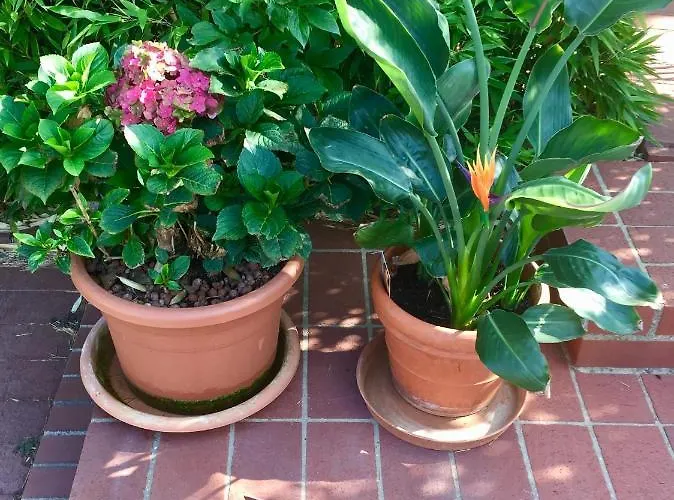 Appartement Blaues Haus *