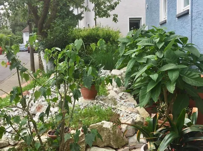 Blaues Haus * Niederdorfelden