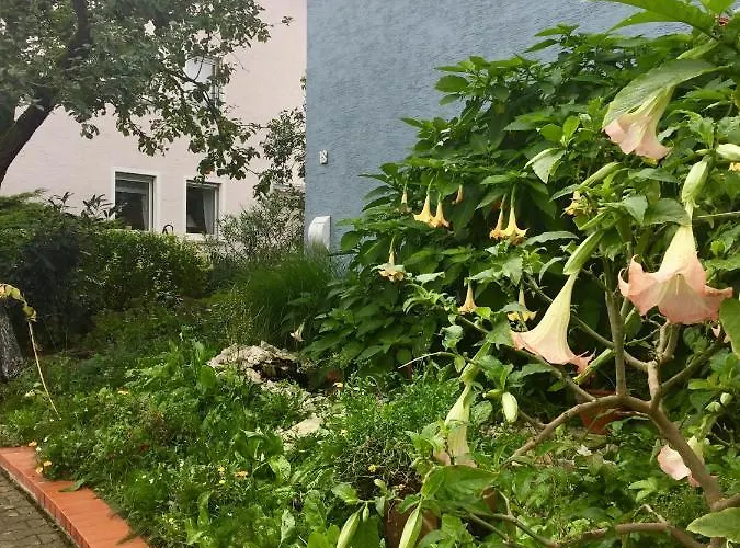 Blaues Haus Niederdorfelden