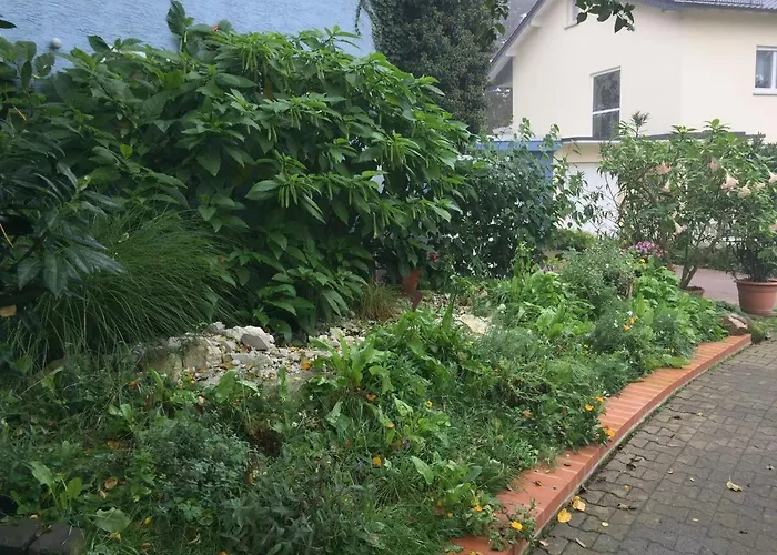 Appartement Blaues Haus *