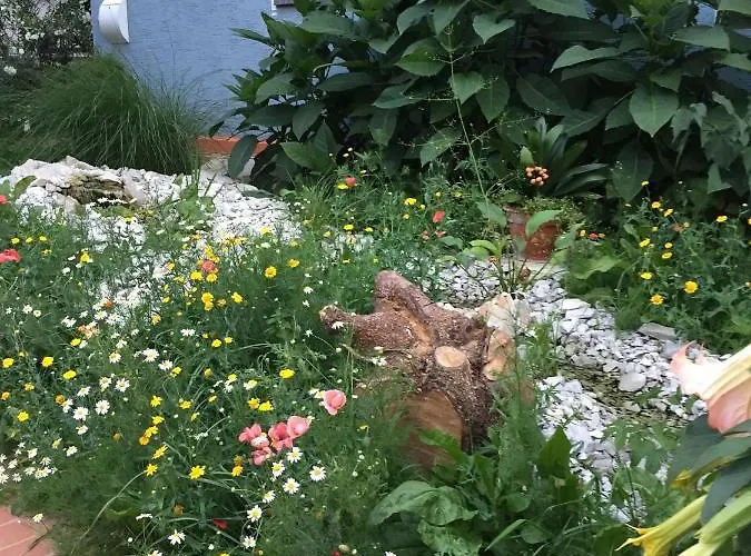 Appartement Blaues Haus *