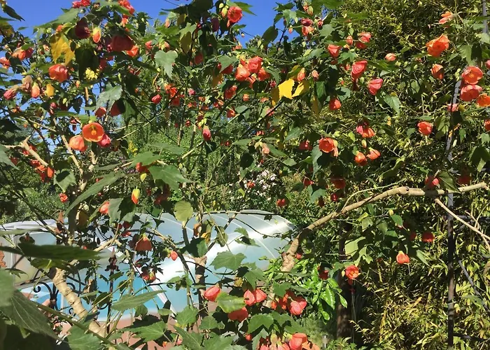 Blaues Haus Niederdorfelden