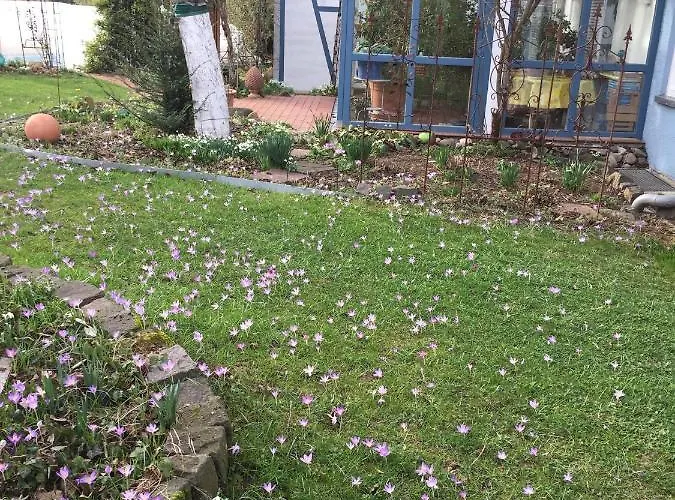 Blaues Haus Appartement