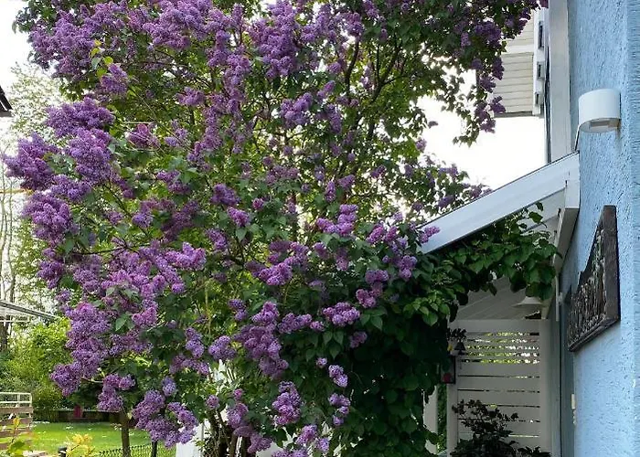 Apartment Blaues Haus *