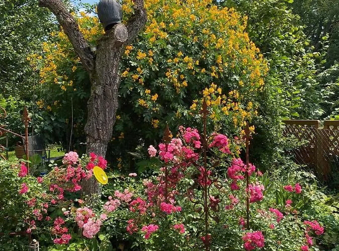 Apartment Blaues Haus