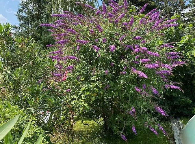 Blaues Haus * Niederdorfelden